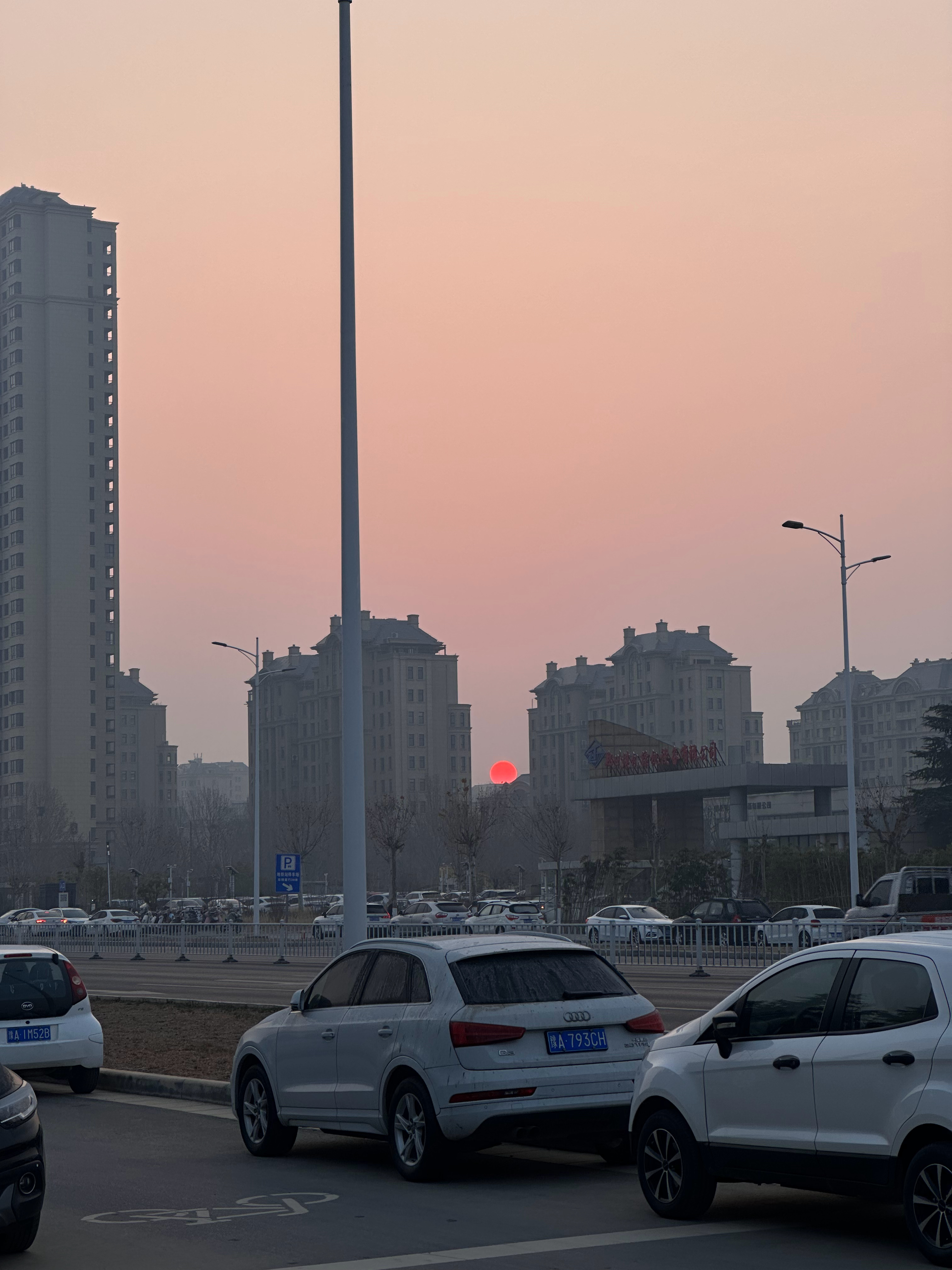 请兄弟们吃个蛋新赛季篮不住我的观赛搭子