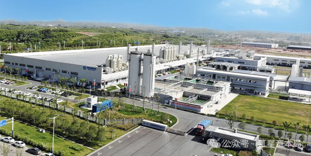 【“90后”明星任上市公司总经理兼董秘】#90后总经理持股市值超1.7亿元#红星