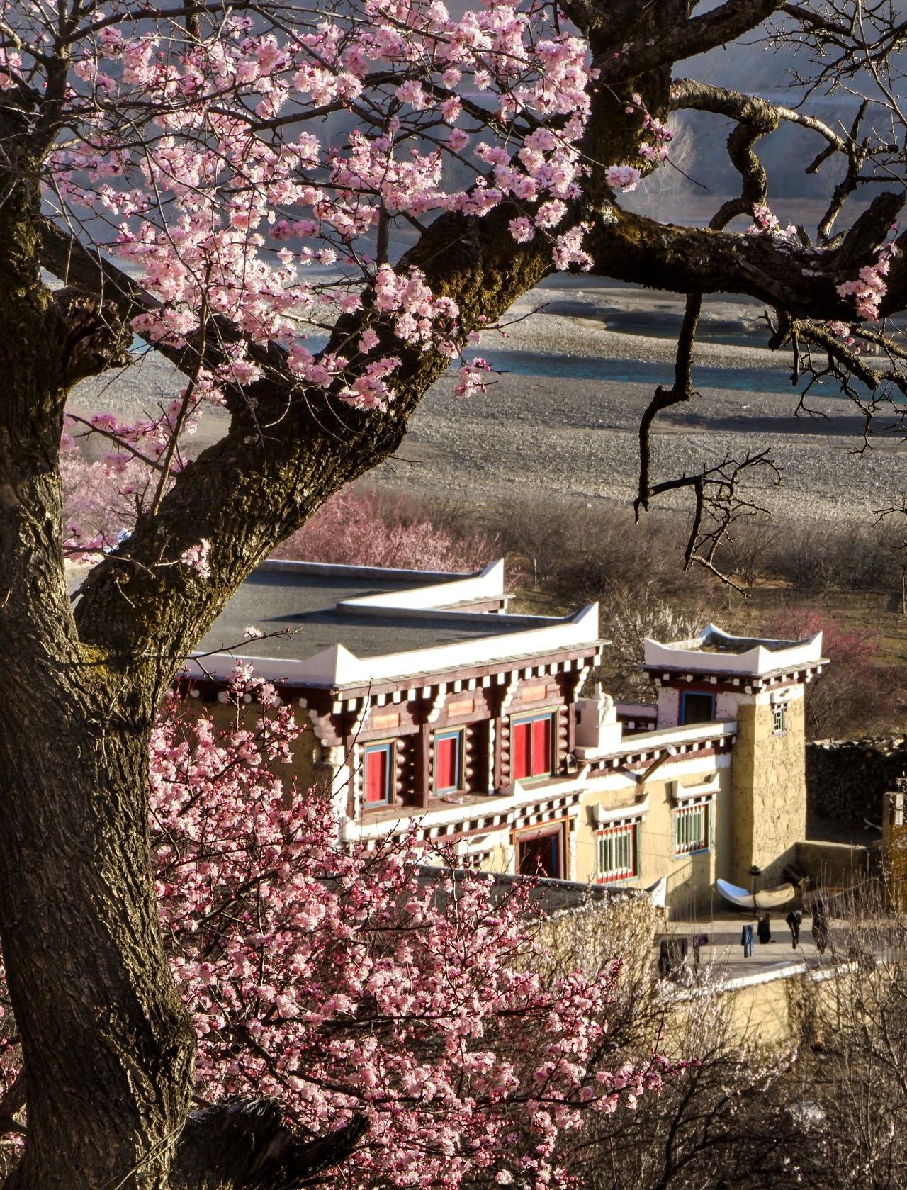 【用一颗平常心，渡世间纷扰；以一抹微笑意，迎人生百态】
        在快节奏