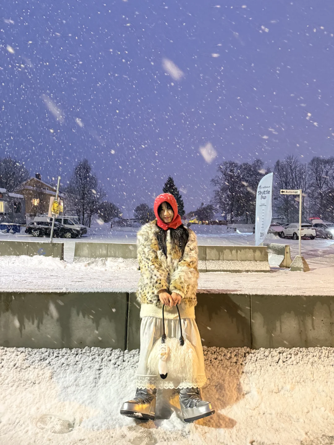 先出发再说｜北欧看雪18张live图