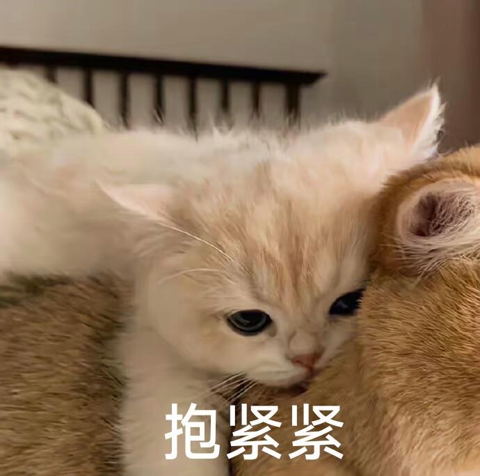 吴宣仪爱上另一个我wxy吴宣仪 咱昨天的超喜欢和发萜还有今日的超喜欢底数就是这样