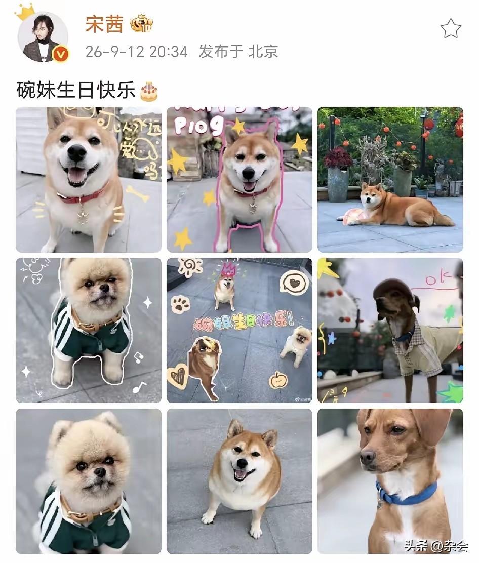 现在的狗活得都比人精致系列！ 宋茜晒照为碗妹庆生，又是定制文案又是好友聚会（虽然