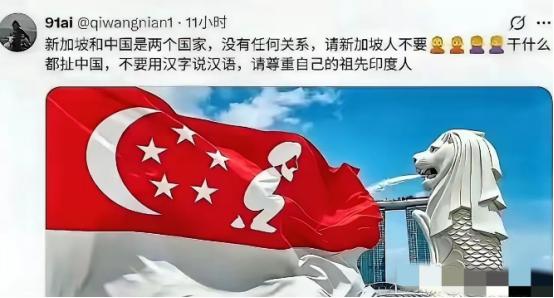 “印家坡”争议再爆大雷！一张恶搞新加坡国旗的梗图直接引爆外网舆论，新加坡多部门联
