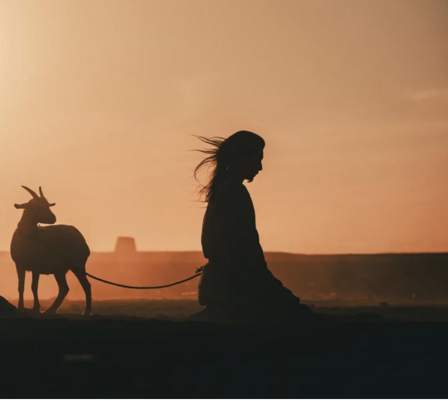 《太平年》“牵羊礼”的羊也太小了吧？真实的历史远比这屈辱万倍！

热播剧 《太平