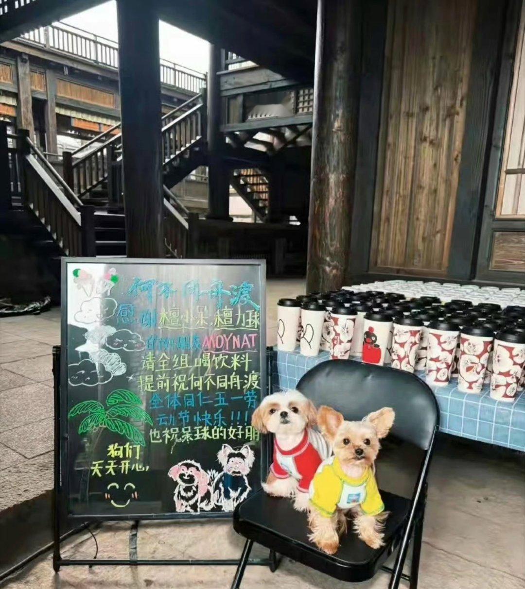 檀健次的呆球代言的品牌方请《何不同舟渡》剧组喝饮料🥤！！！ 