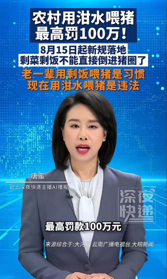 “农村泔水喂猪，最高罚100万！”8月15日起新规落地，剩饭剩菜到底还能不能喂猪