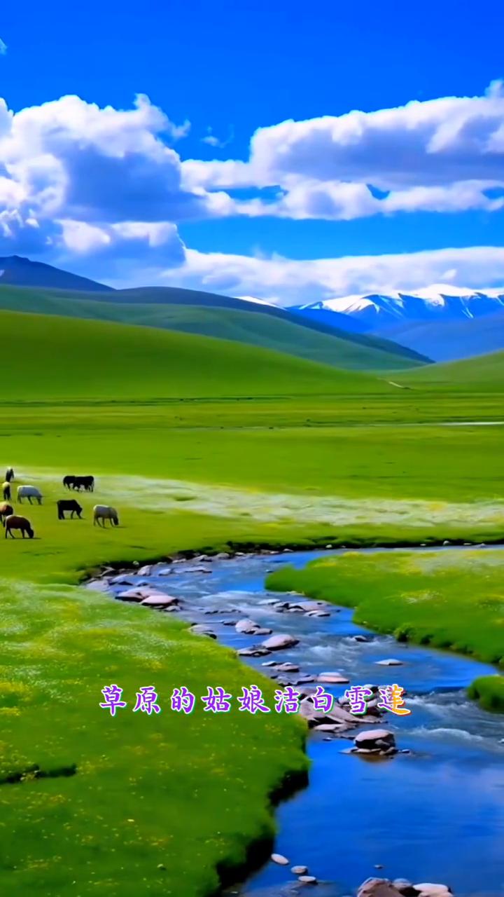 《爱情在草原》。
茫茫的天涯，茫茫的路，茫茫的草原，碧蓝的天，草原上有你我的爱恋