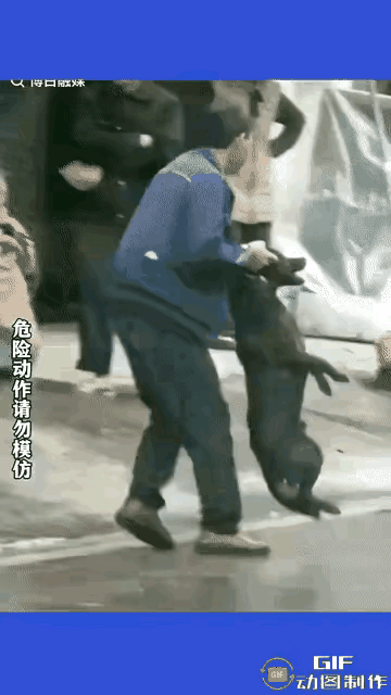 太霸气，太猛了
真比得上打虎英武松了
一条未拴绳的大黑狗
冲出来咬了男子的腿一囗