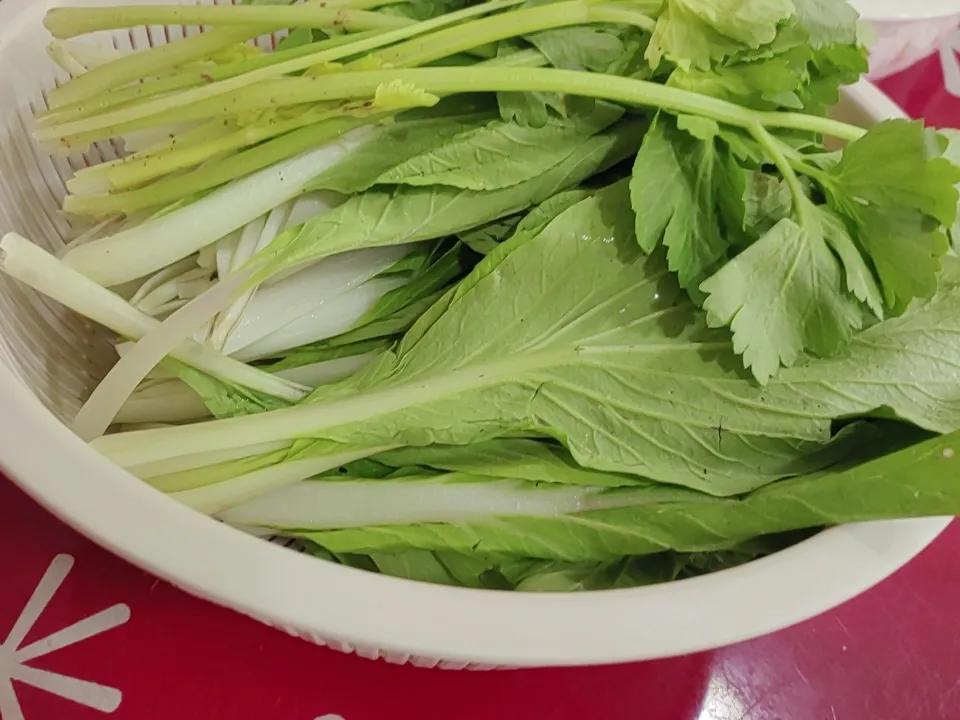 今天第一次去菜市场买了个小青白菜，问了一下价格吓了一跳，炒熟就一盘8元钱，菜农还