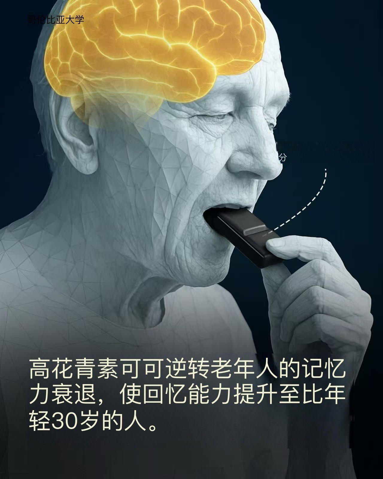哥伦比亚大学的一项研究表明，高黄烷醇可可能显著改善老年人的记忆力。该研究发现，持