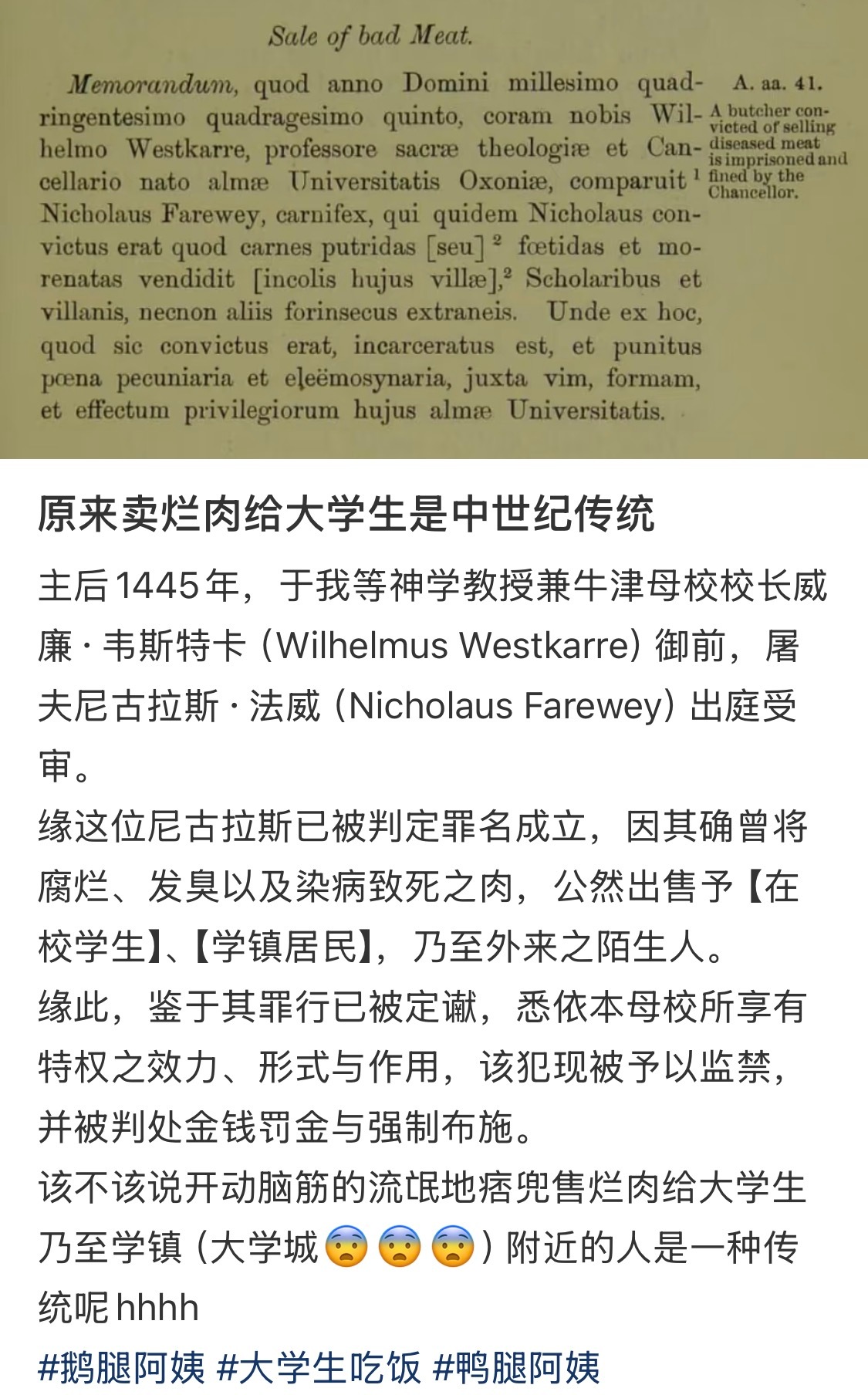 鹅腿阿姨居然还有中世纪参考文献我实在绷不住了 