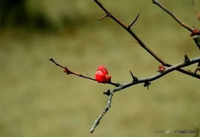 扎心忠告：王立群教授道破识人真相，别在熟人局里交错人！
 
王立群icon曾说：