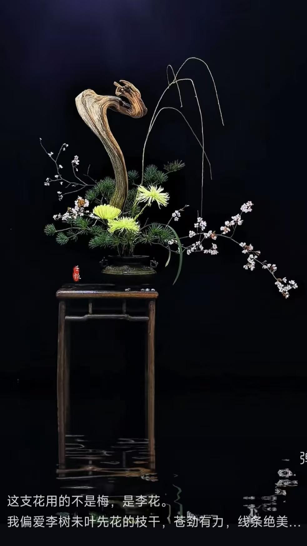 塞鸿秋·插李
枯梅误作寻常看，
偏惊老干横苍线。
不消叶衬胭脂瓣，
铜瓶立尽嶙峋