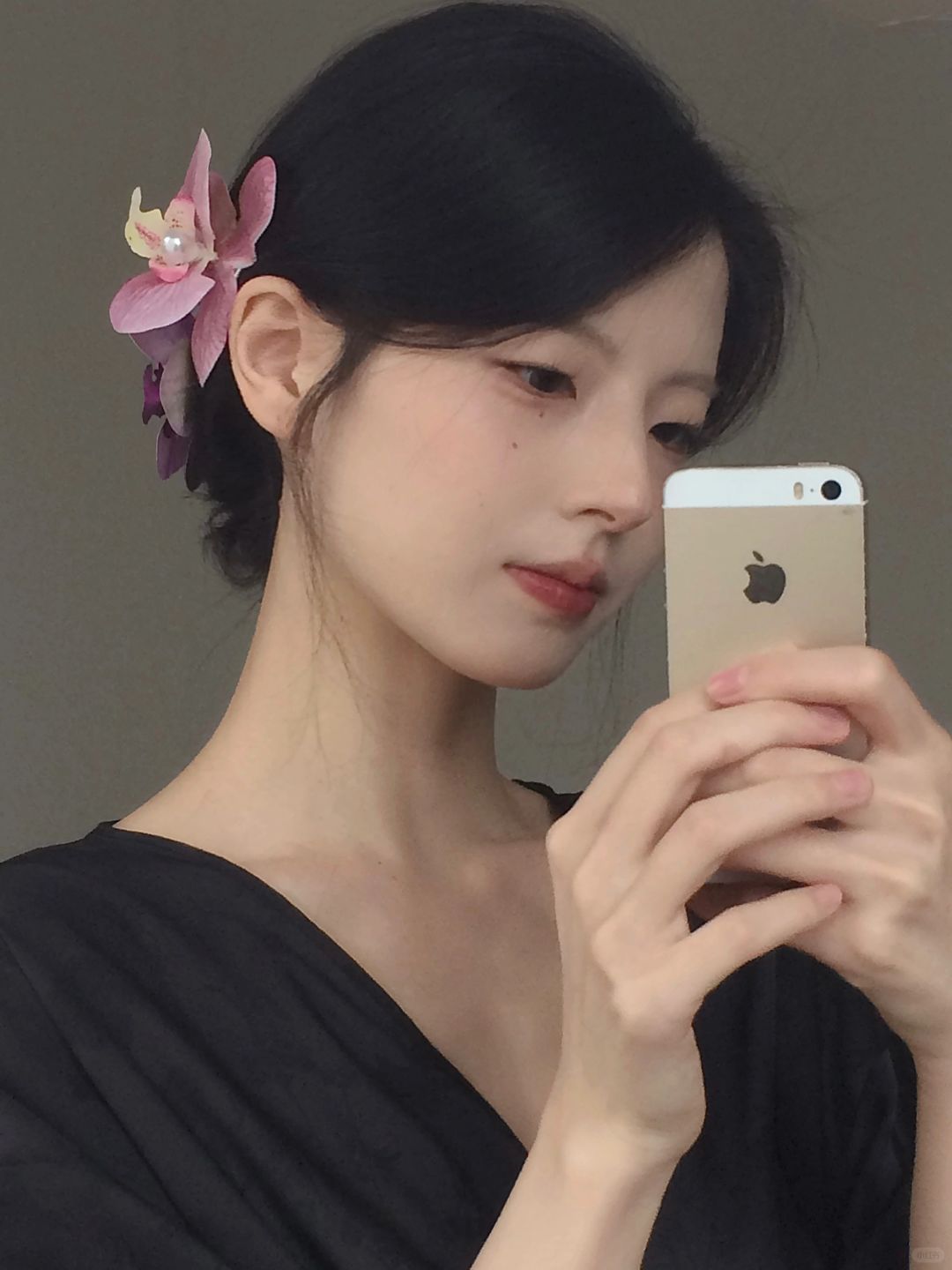 蝴蝶兰