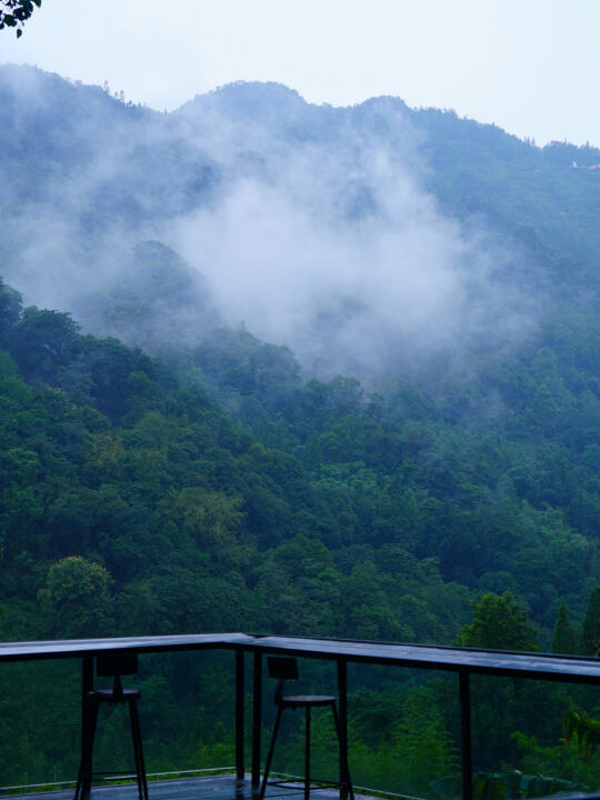 都江堰避暑🌧️ 躲进森林，听雨住山景房