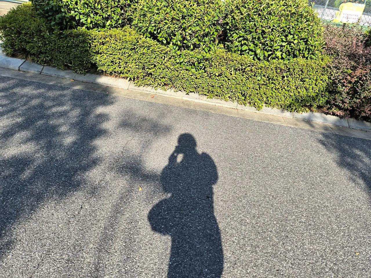 这背影好像有点胖[大笑][大笑][大笑]
