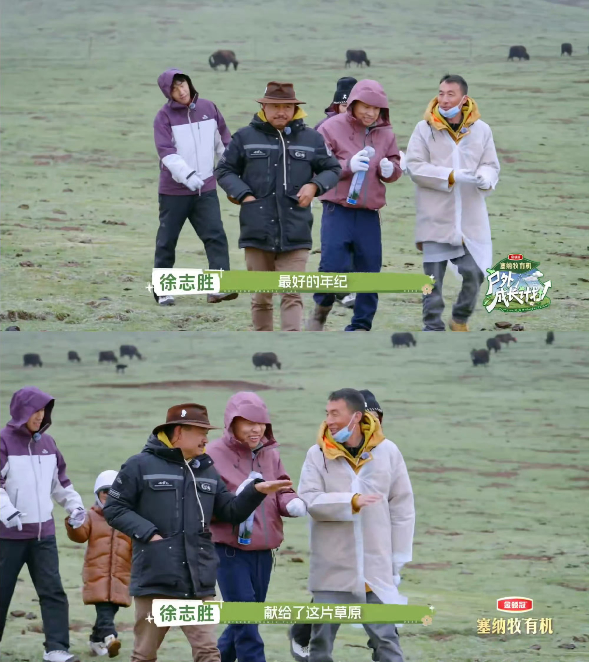 尹正徐志胜综艺里探寻青海高原生态链尹正见证草原守护者青春献给青海走进青海高原，认
