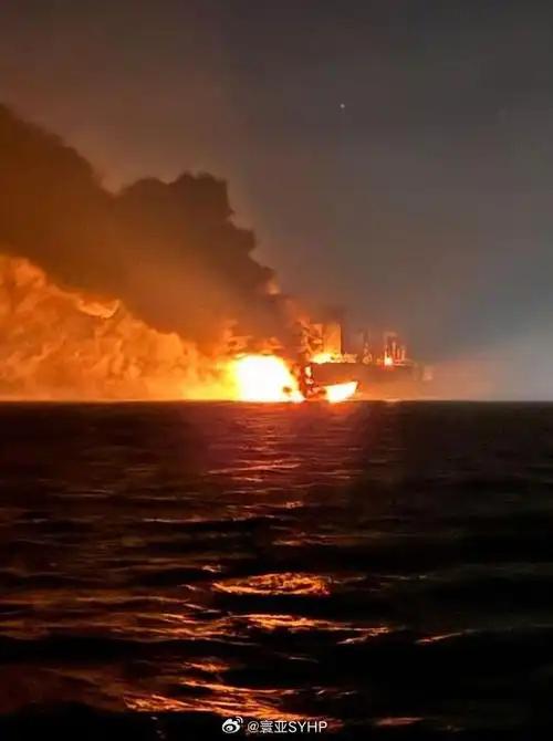 黑海地缘仅几国，
索契距土咫尺隔。
油轮满载遇袭击，
最不可能是大鹅。

泽连斯