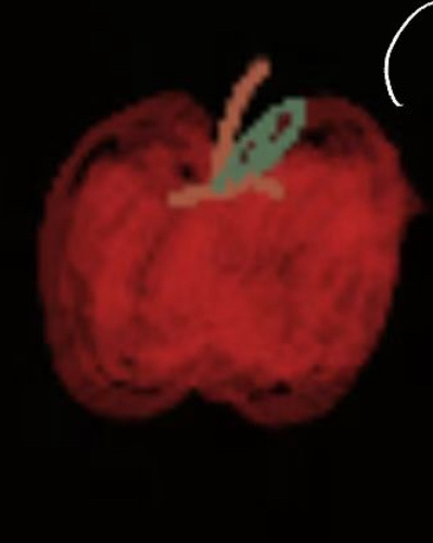 各位小可爱们平安夜快乐~ 圣诞节快乐哦~平安夜就要吃苹果！ 圣诞节就要有圣诞老人
