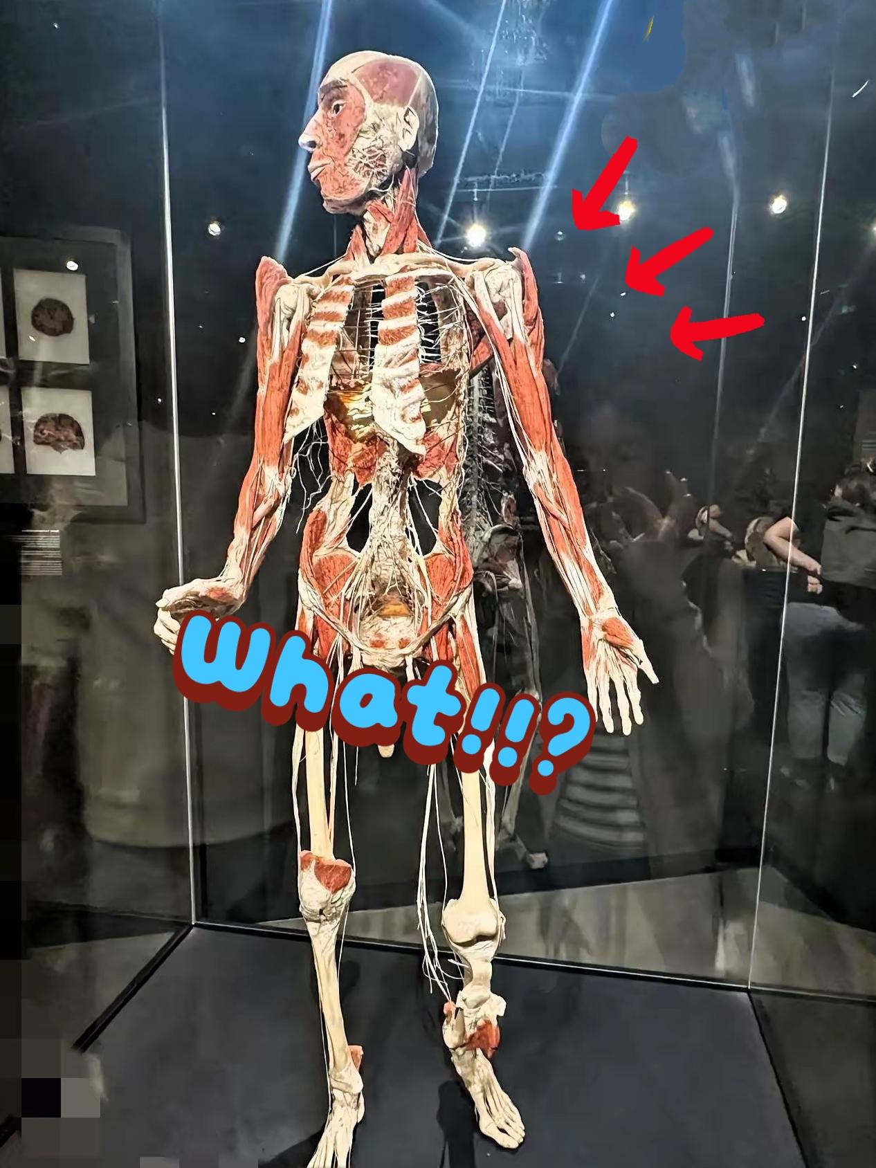 来看看这个像谁？
一目了然吧！
网友说它曾展在美术馆，有人猜是塑化真人、标本，也