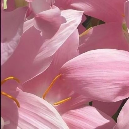 1200 没有人注定平庸，只有人甘于平庸，你所看到的惊艳，都曾被平庸历练，那些打