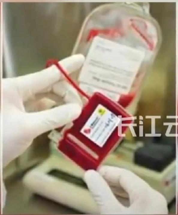 15年前的“生命备份”，救了20岁的哥哥！这才是亲兄弟最硬核的浪漫

谁能想到，