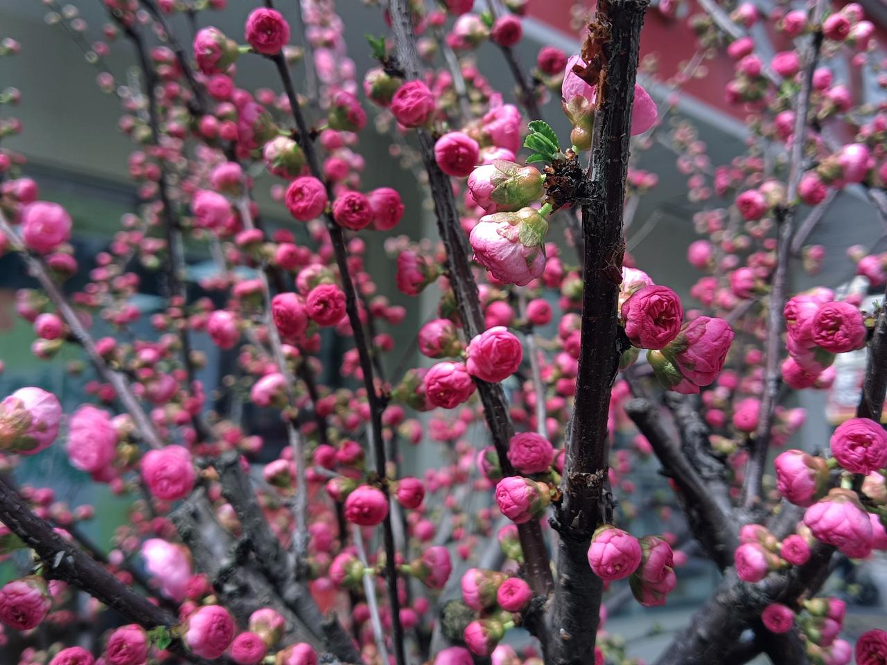看了红楼梦才知道：

初见的心动过速不一定是缘分

邂逅伊人双颊腮红也不一定是缘