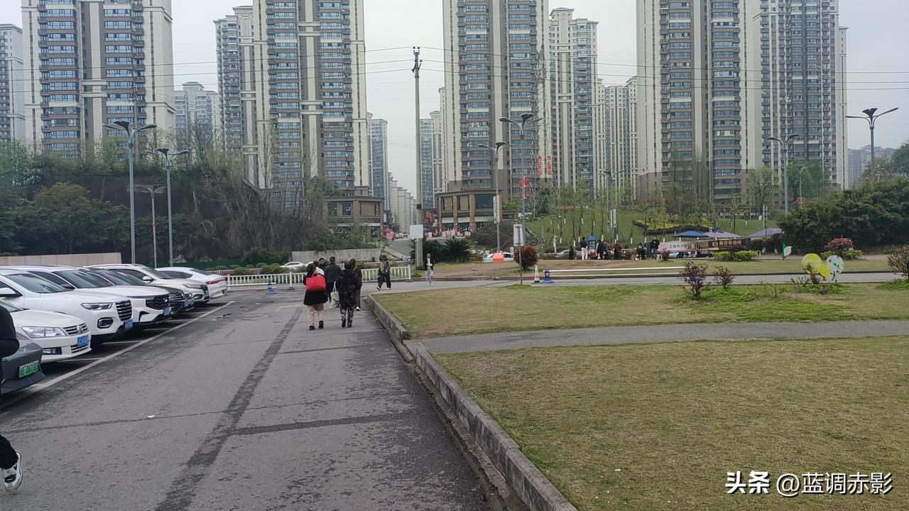 春日生活打卡季