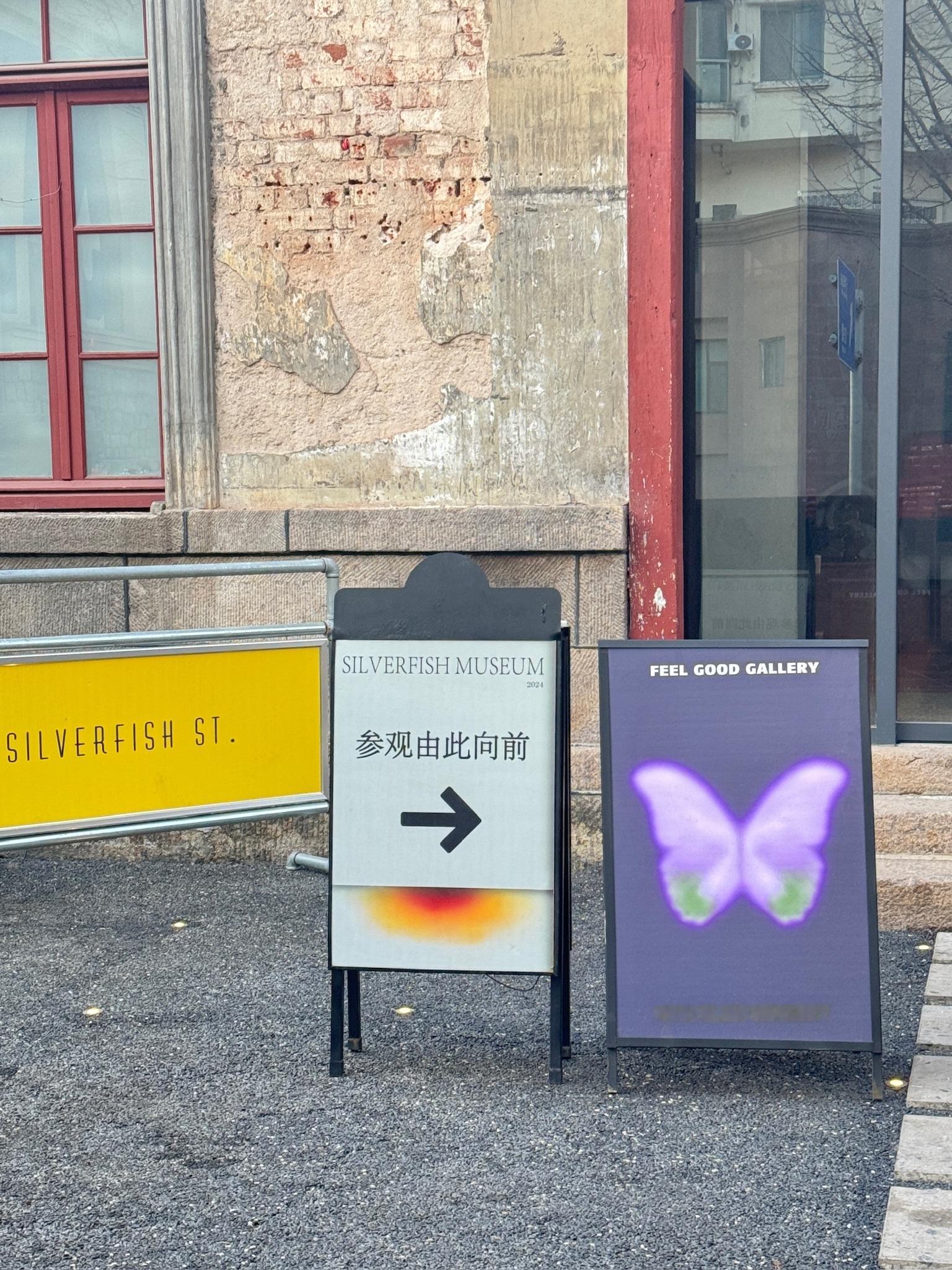 青岛BF蝴蝶展✨🦋！！蝴蝶展真的是一场视觉和心灵的双重治愈，推荐给所有需要放松