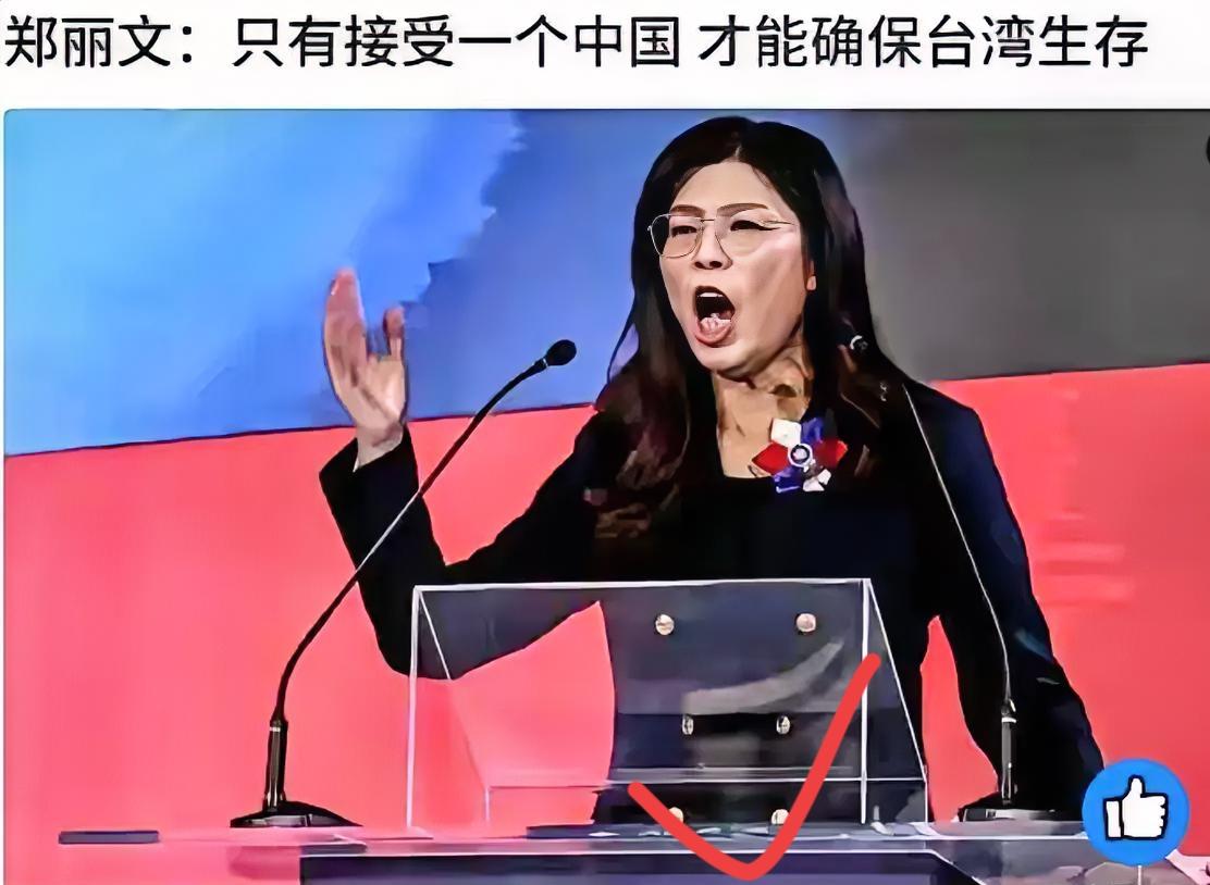 郑丽文这波操作太提气了！
敢硬刚美国、直怼“台独”，还被日媒喊
“统一女神”，这