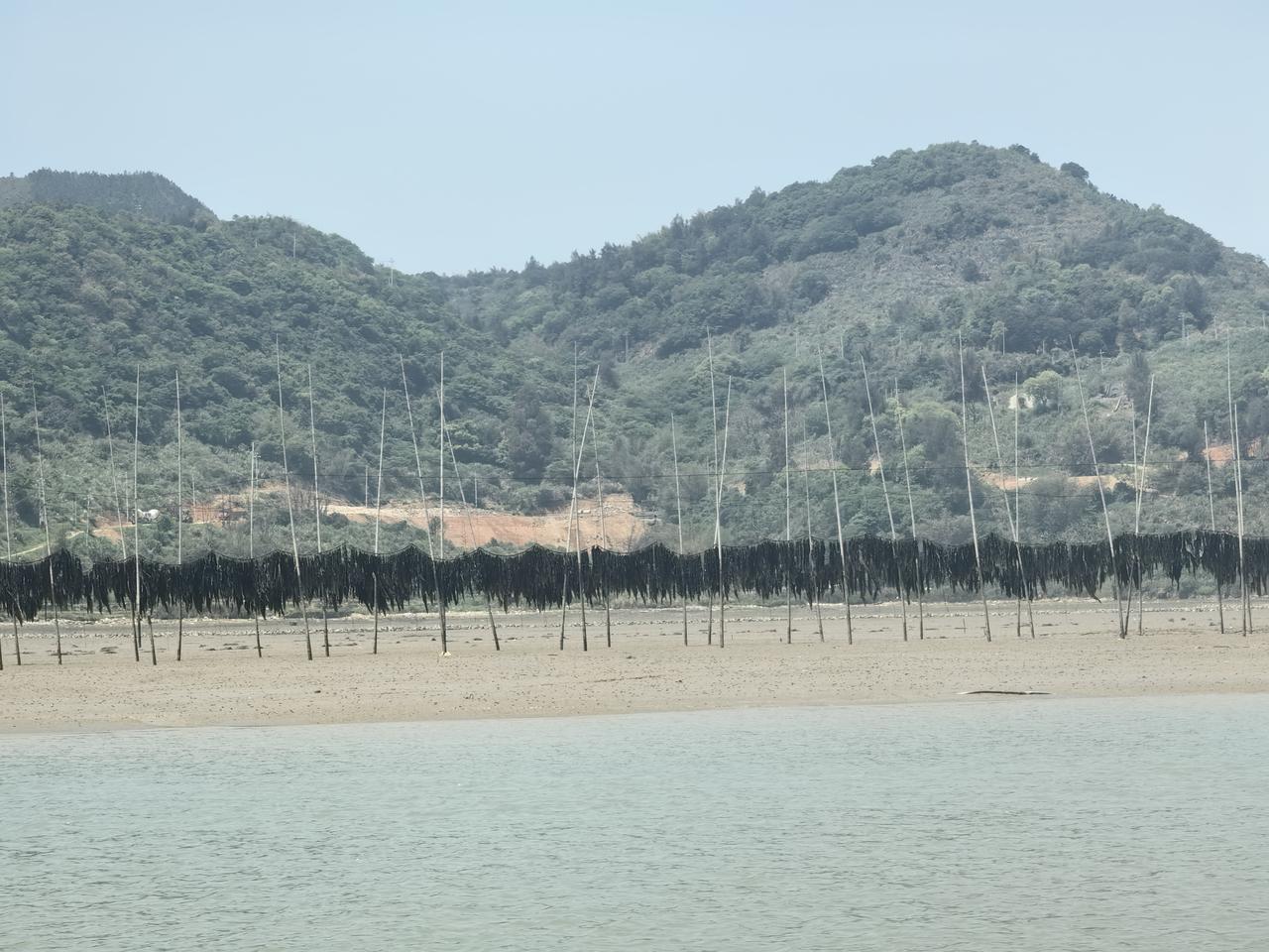 阿联酋退出欧佩克，绝对是对中国不利的。
第一阿联酋是中东最亲美的，
第二前几天来