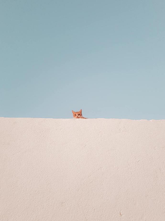 老舍在《四世同堂》里说：一个人须时时勇敢的去面对那危险的，而小心提防那“最”危险