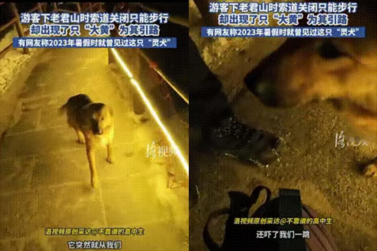 “万物皆有灵，这句话真的被狠狠印证了！”近日李先生的老君山奇遇，让无数网友破防点