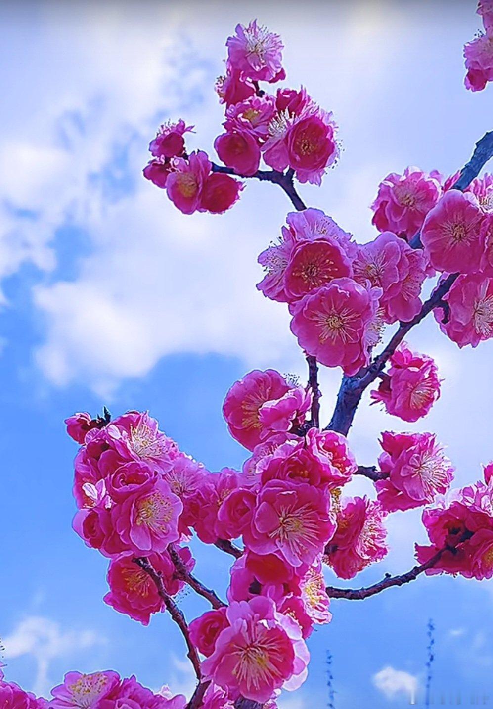 今天A股大盘沿袭了上周五反弹的走势：东方财富App显示的10项指数都上涨收红，上