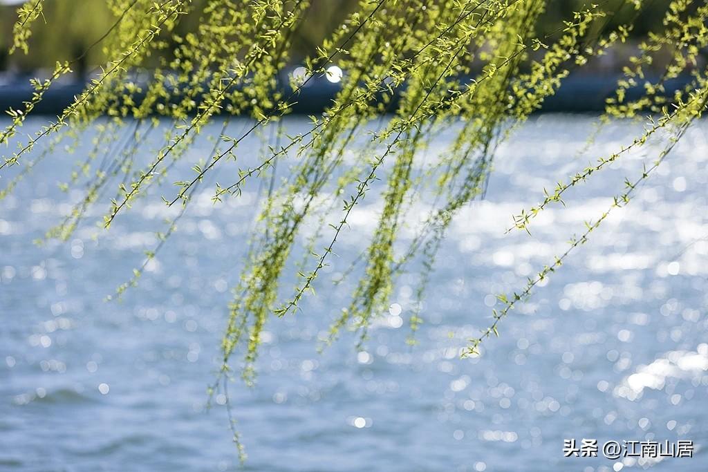 老公对妻子说：“老婆，我们结婚三年了，我发现我的胳膊越来越短了。”

老婆一脸奇