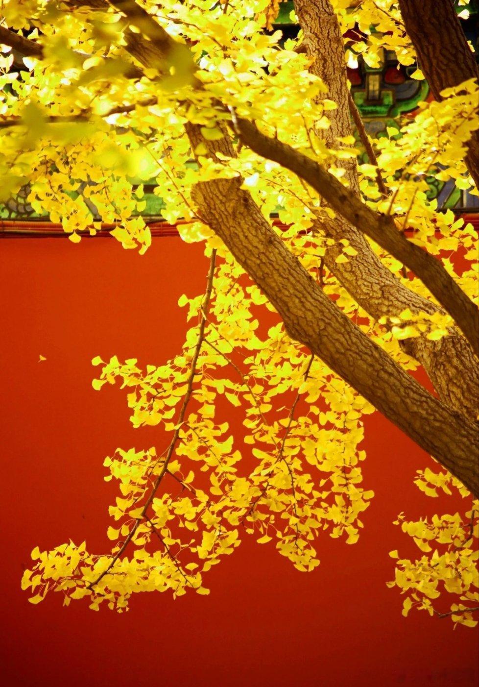 提起晚清，绕不开曾国藩、李鸿章、左宗棠、张之洞这四位名臣，他们或平定内乱、或兴办