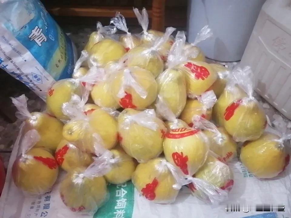 今年沙田柚比往年便宜一些，一块半钱一斤，开了一个尝了一下，感觉口感不错，有水份，