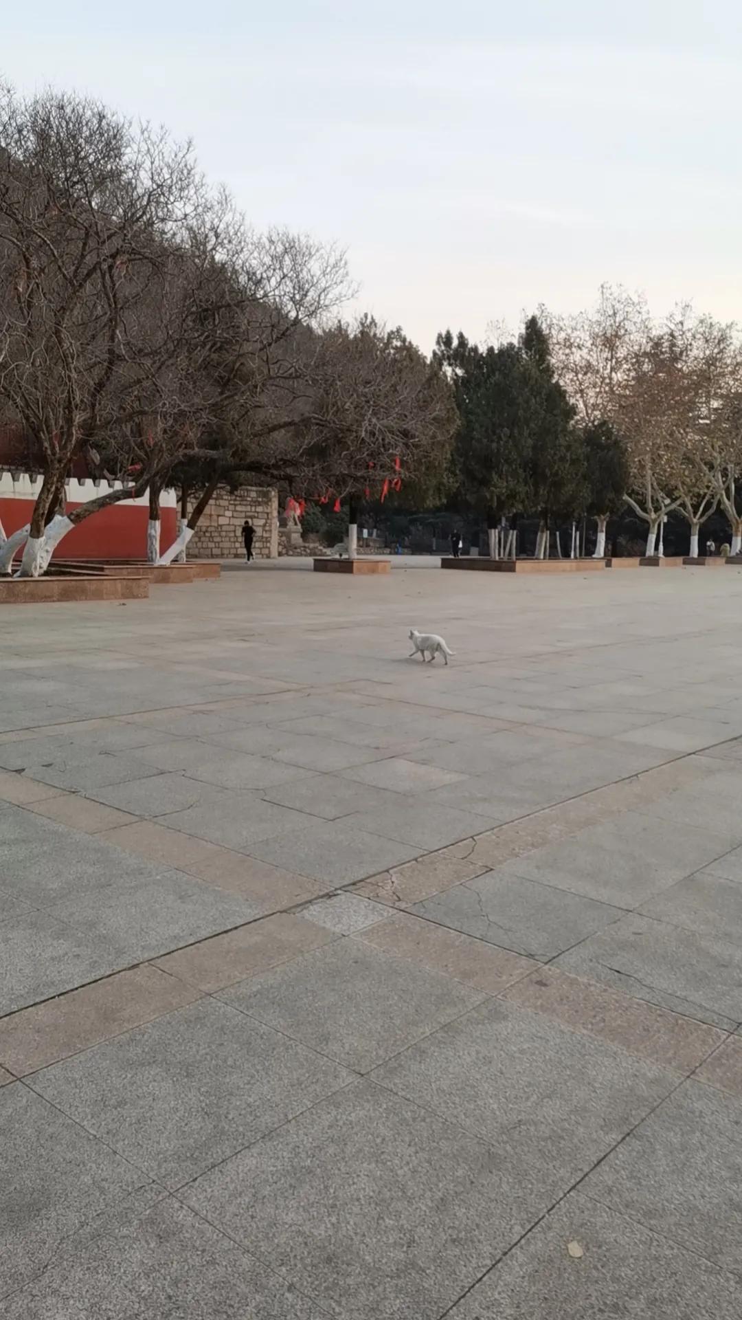 随手拍，记录美好瞬间