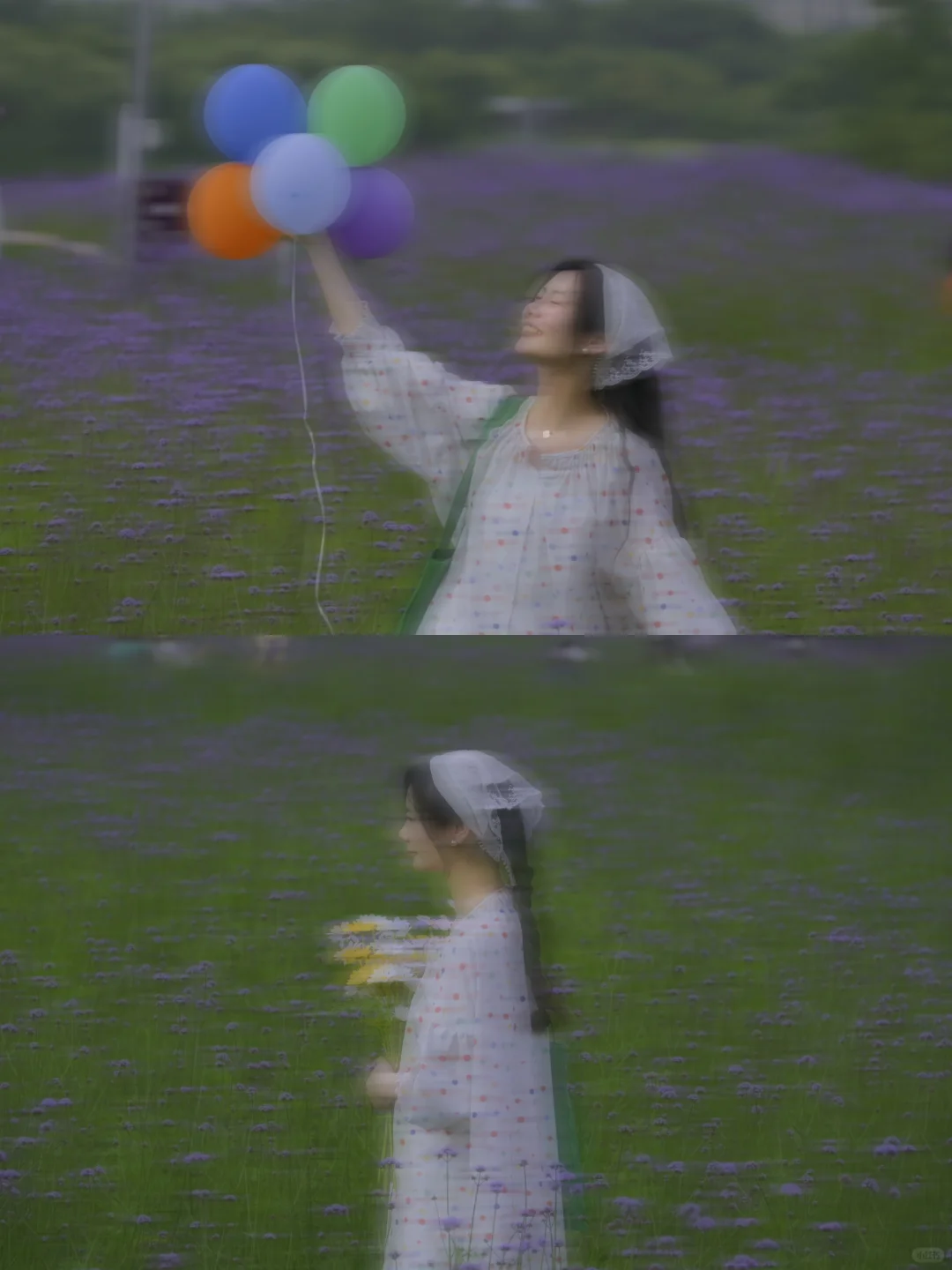 长沙‖洋湖体育公园紫色花海好出片
