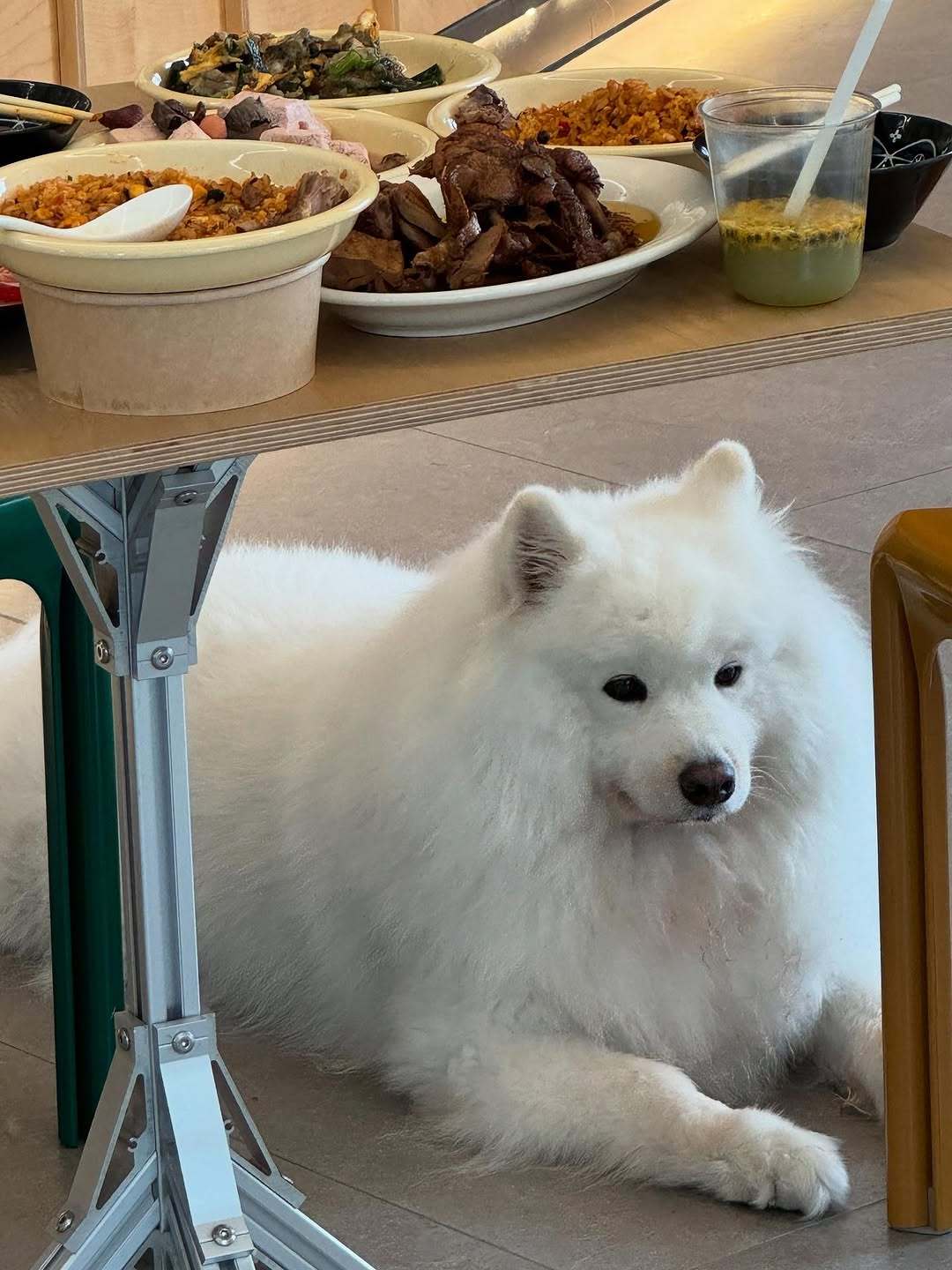 虞书欣 一些日常 ​​​