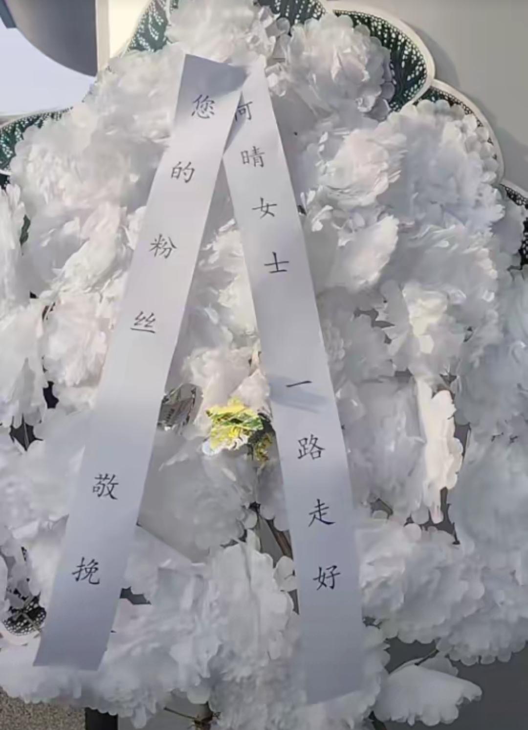 何晴葬礼满是遗憾！儿子捧骨灰凝眸不舍。那场初雪藏着最戳心的告别！
 
真的看一次