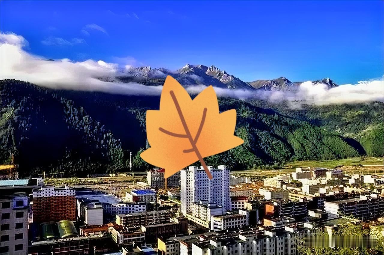 网友问：34岁、在职研究生学历，西部省级机关副处级，组织推荐去县级市任常务副市长