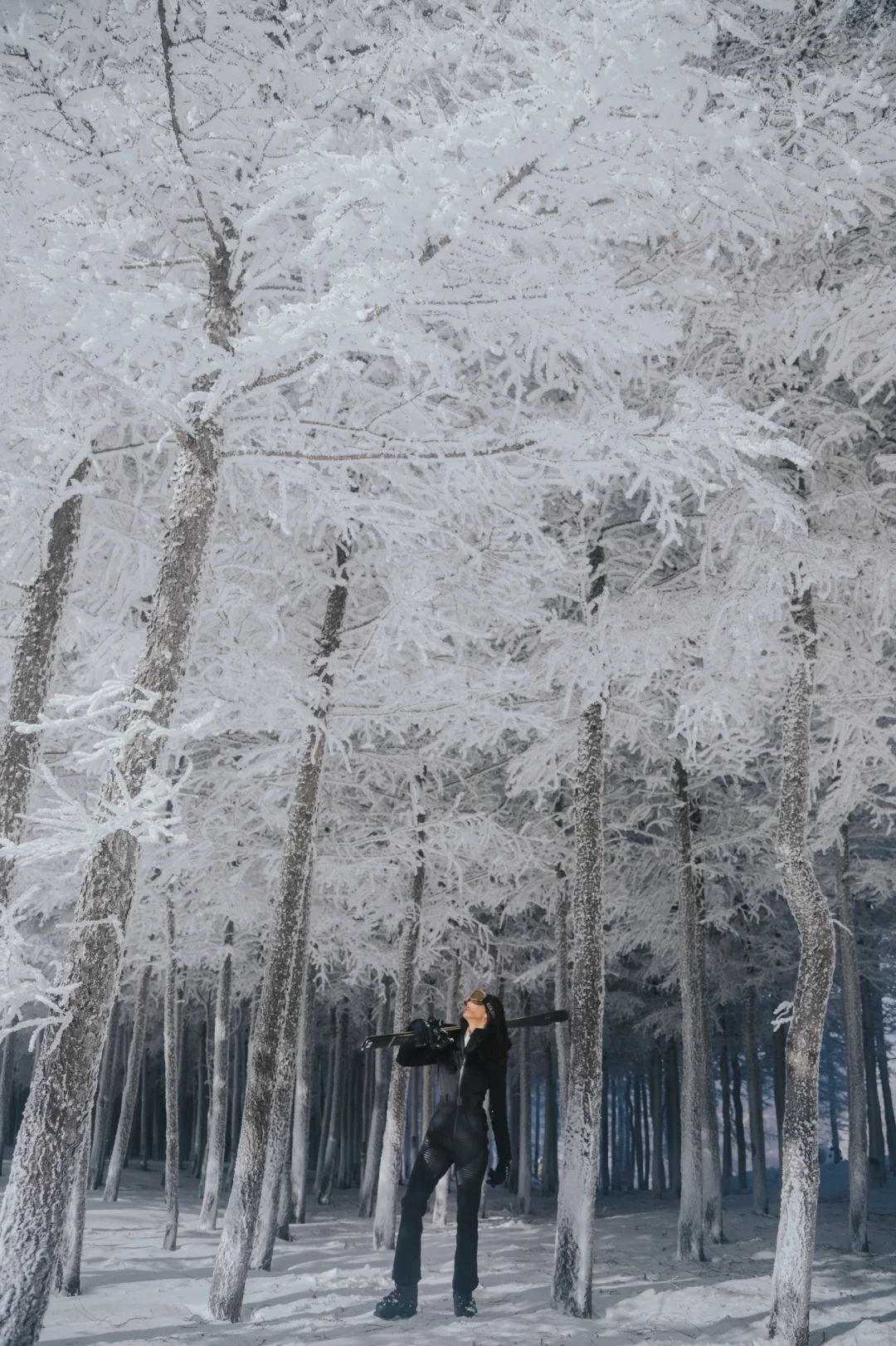 猜猜我在新疆还是北海道⛷️