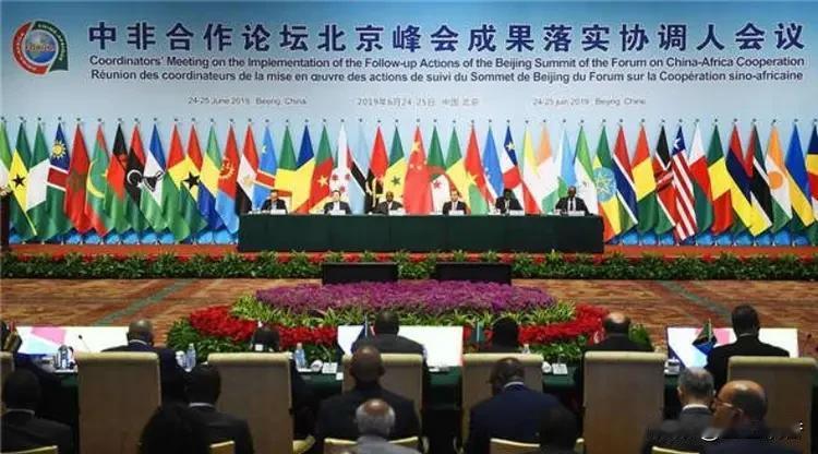 非洲可以学习中国基础设施建设，学习中国的数字信息技术应用，这都没问题他们也会很能