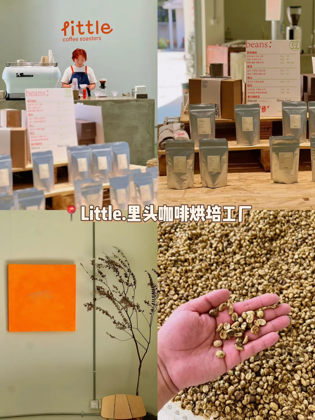 𝐿𝑖𝑡𝑡𝑙𝑒咖啡烘培工厂  版