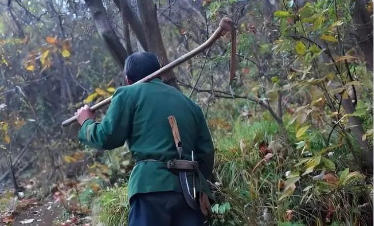 1986年男子打死73条毒蛇，后遭毒蛇“追杀”5年，最终命丧蛇口。80年代在湖北