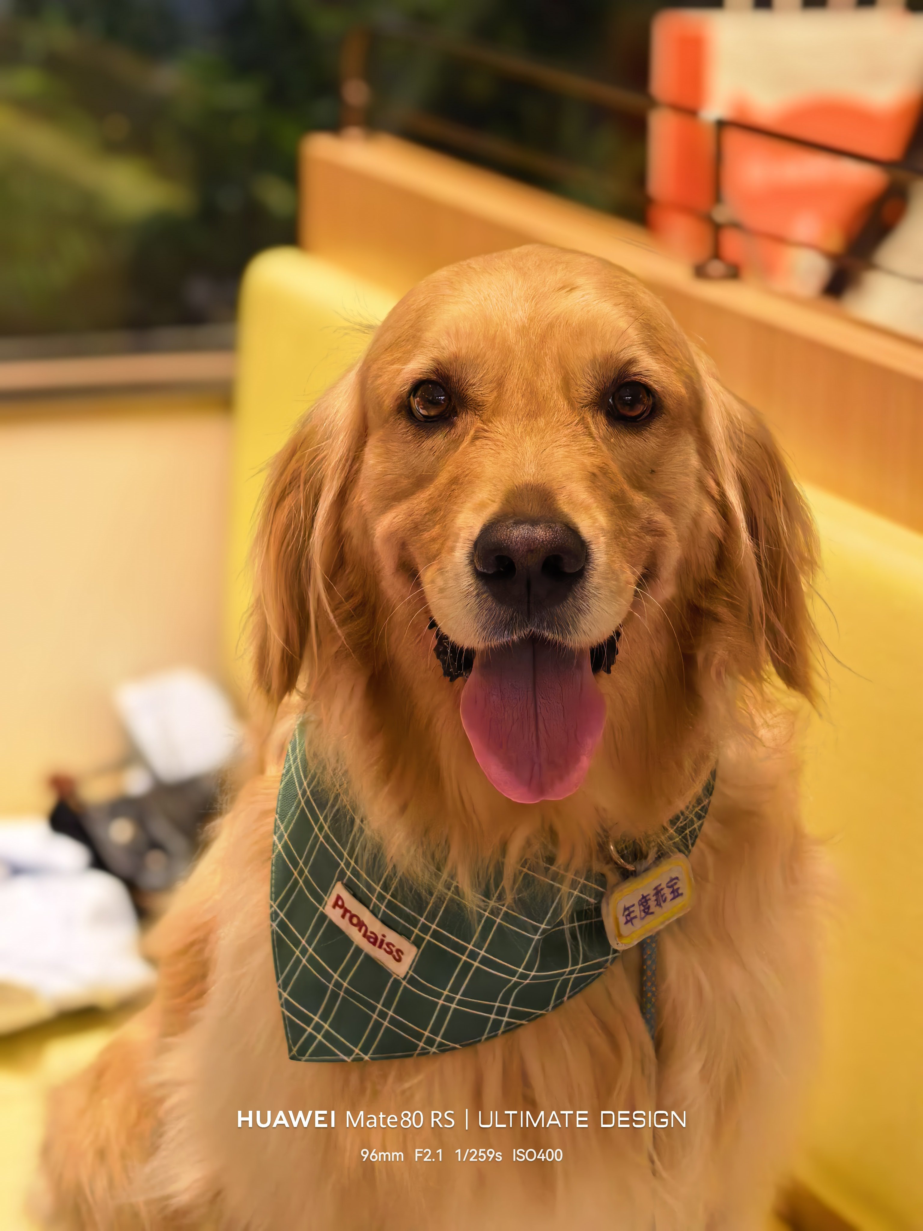 海底捞还是太领先了，给狗子过生日体验拉满