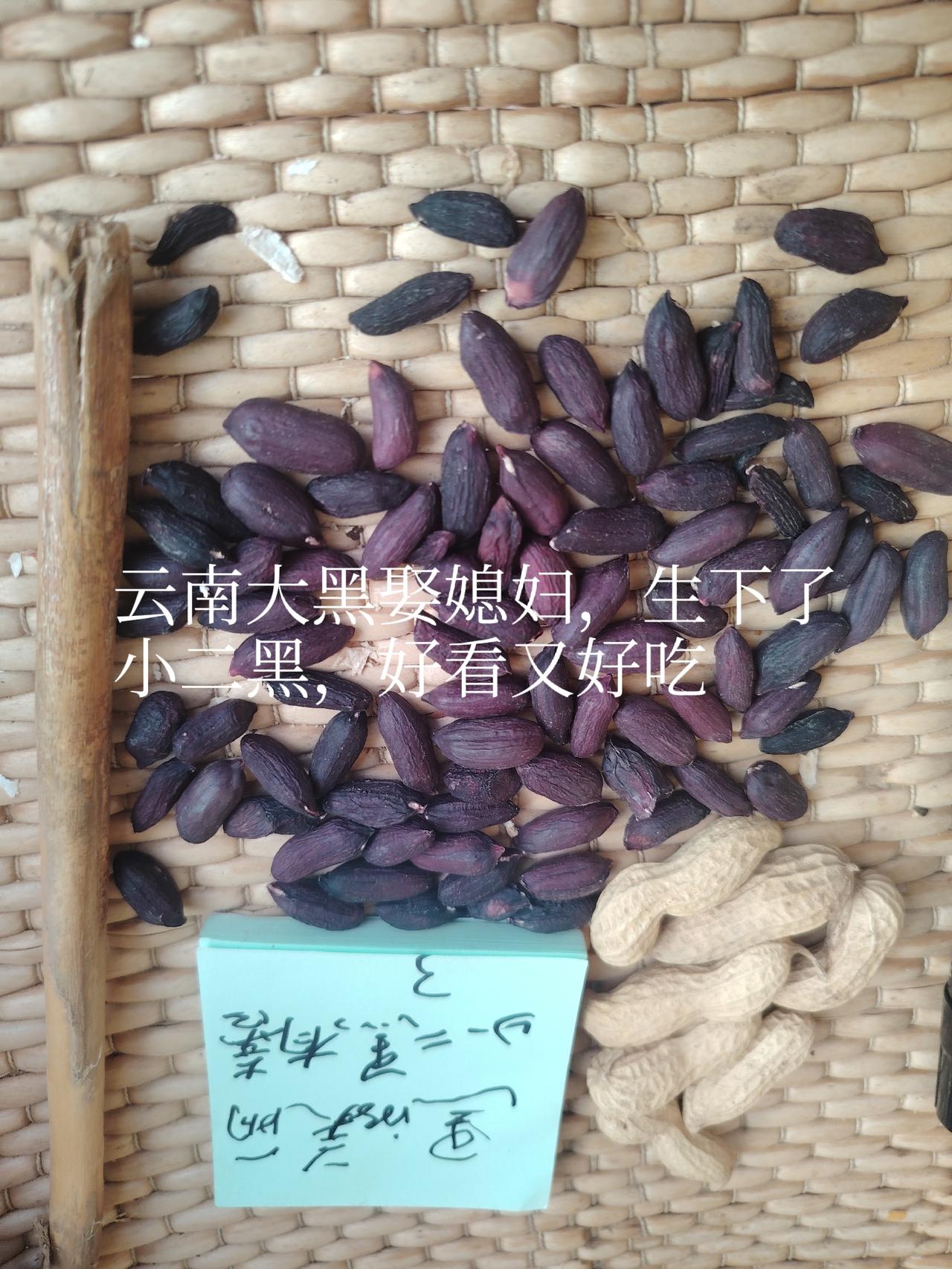 随手拍成熟的果实