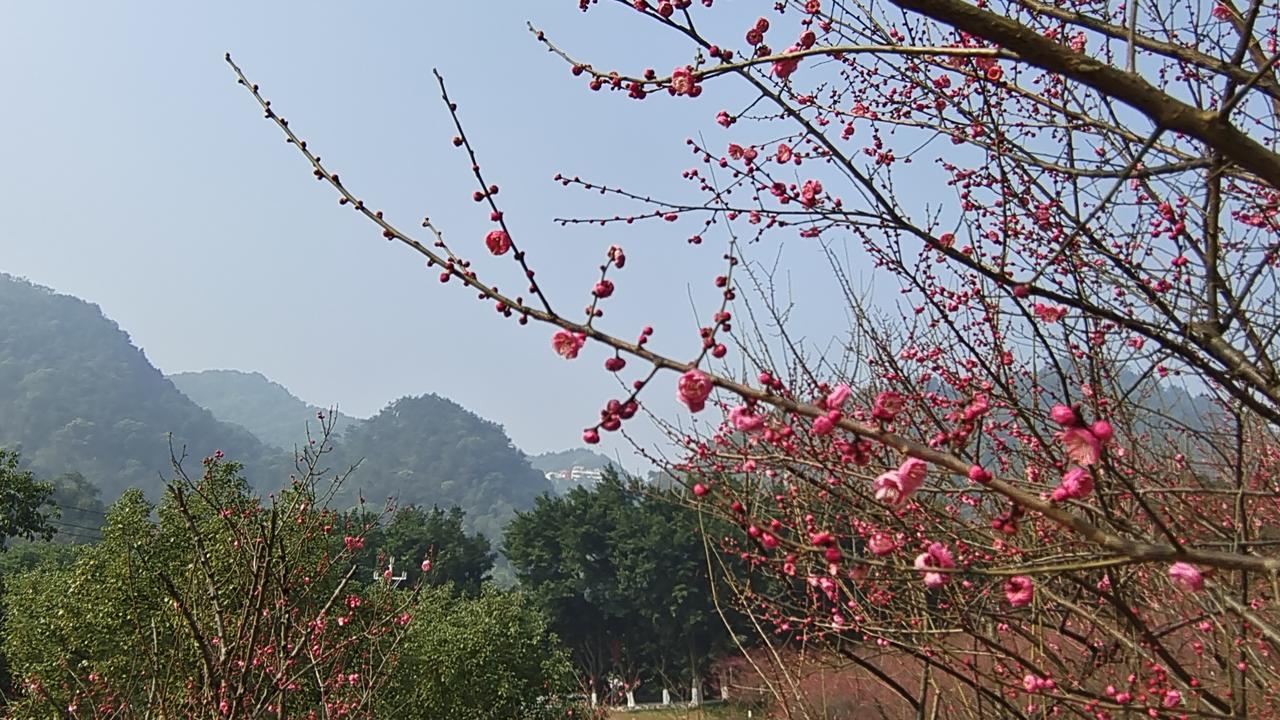 2025年石油天然气行业的十大新闻
2025年是石油天然气行业的丰收年，取得了以