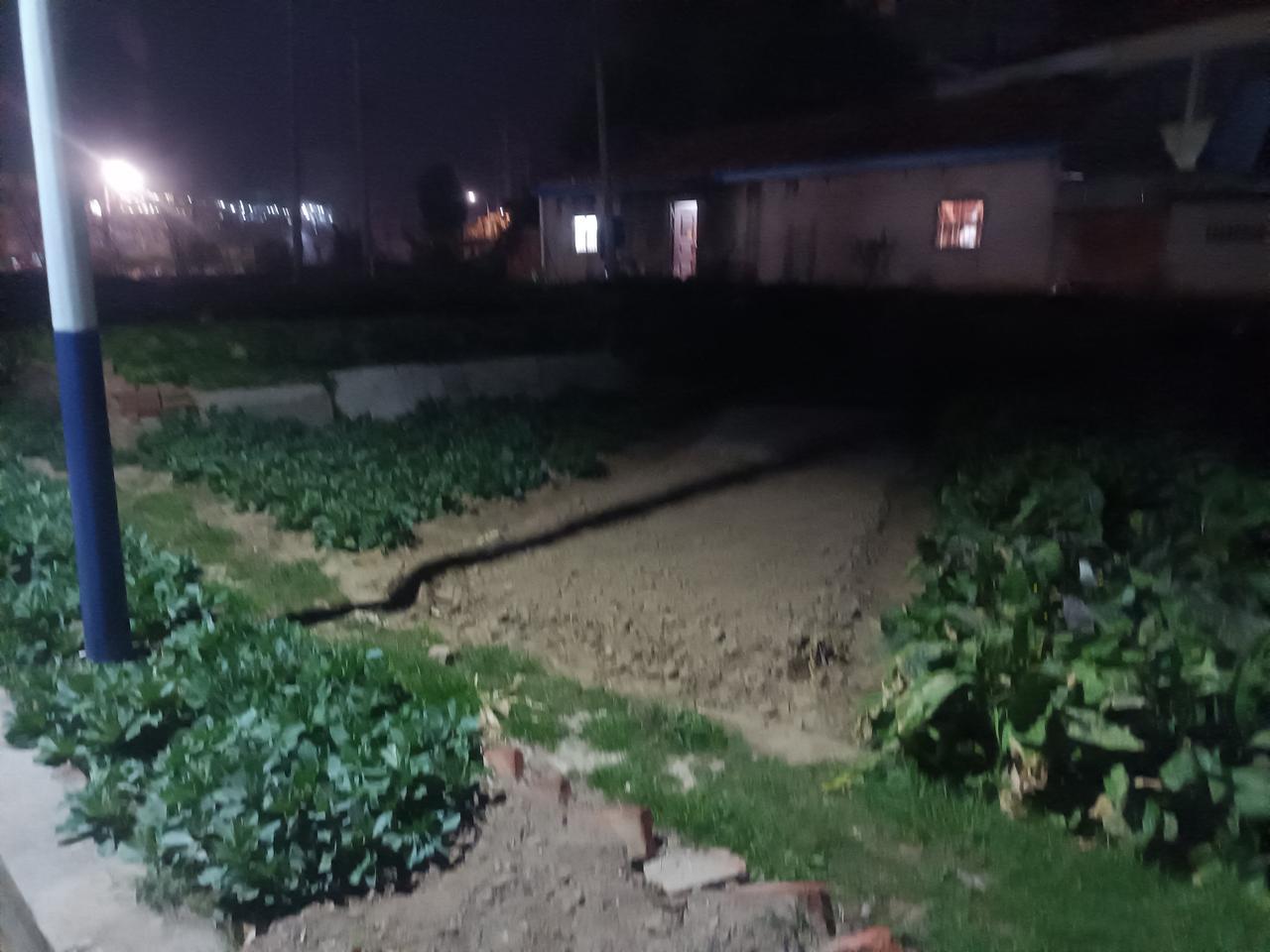 每个人走入职场，心中都怀揣着梦想和期待，希望通过努力赢得认可和尊重。然而，现实往